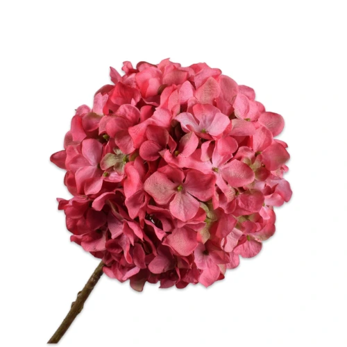 Single red hydrangea bloom stem Dubai