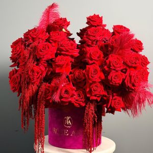 Gift For Queen Limited Edition