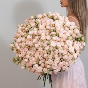 A stunning, full bunch of fresh, long-stemmed Bombastic spray roses with light pink petals, arranged against a clean background.