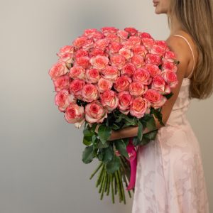 A stunning bunch of fresh, long-stemmed Jumilia roses with bi-color pink petals.