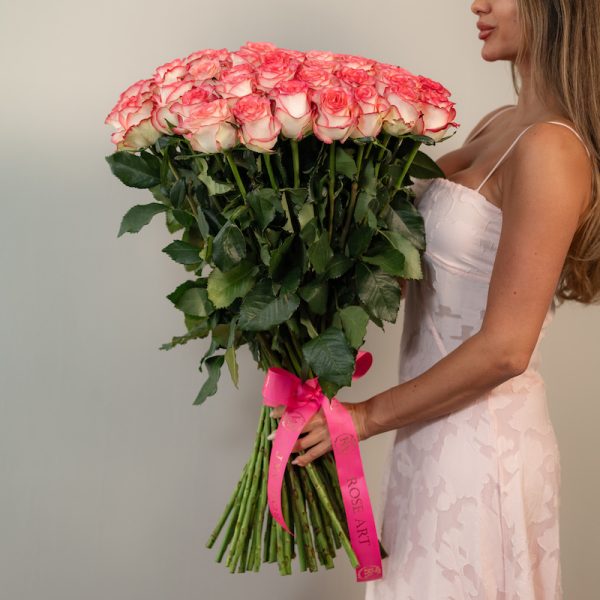 A close-up side view of the Jumilia roses, showcasing their two-toned pink and white petals and long stems.