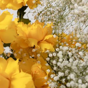 A close-up side view of the Armine Cloud rose box, showing the detail of the roses and gypsophila.