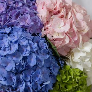 A close-up side view of the Petal Cloud bouquet, showing the detail of the various hydrangea blooms.
