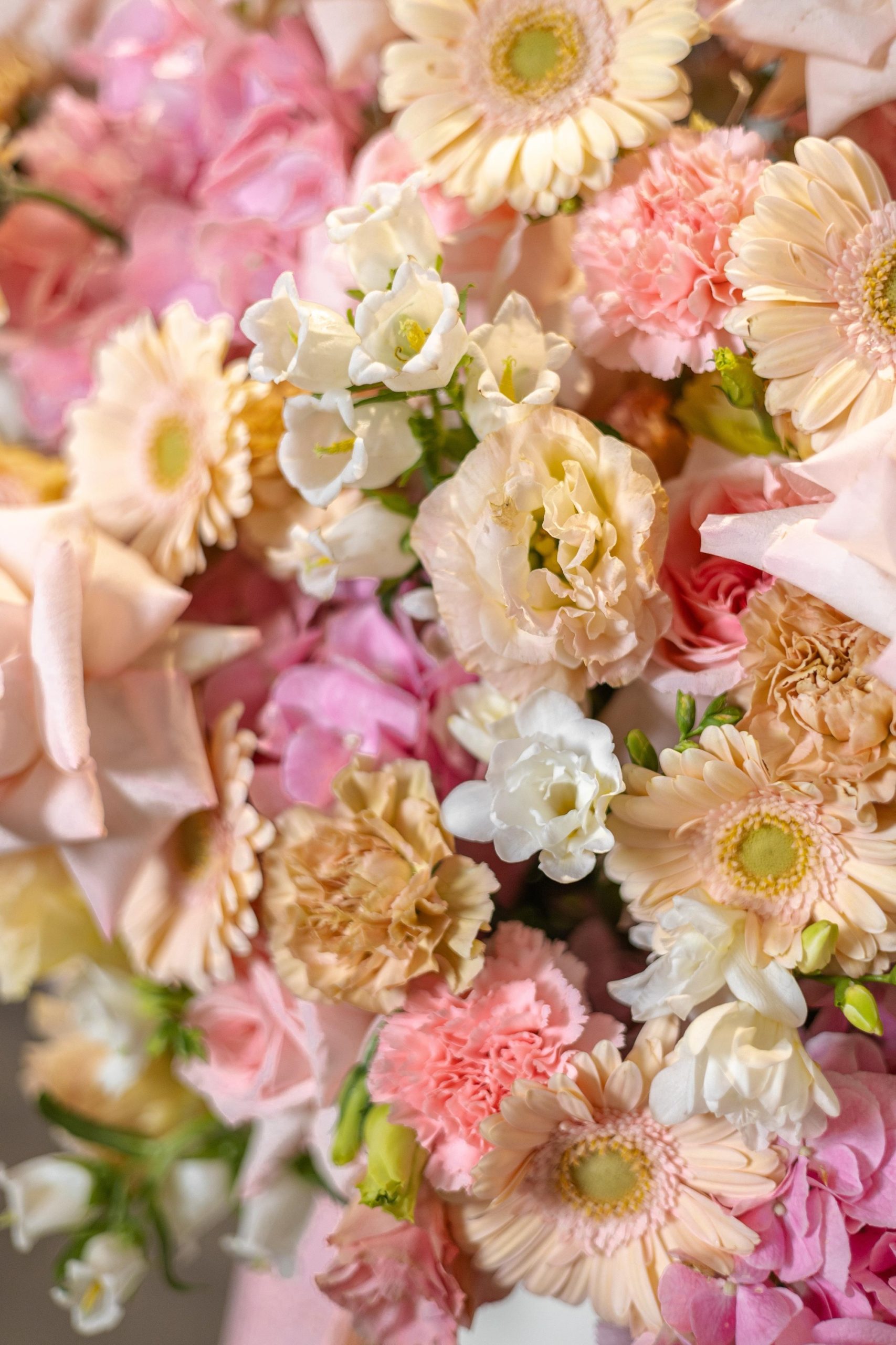 Champagne Blush Opulence Box - Image 2