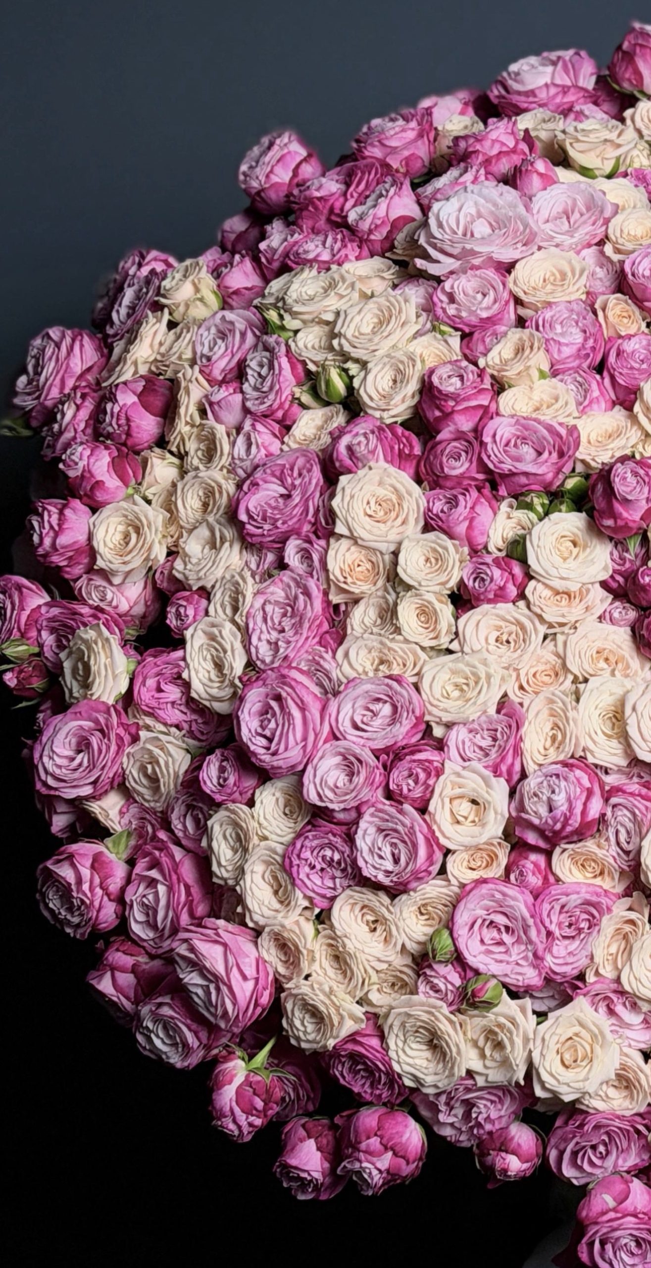 Bouquet Of 125 Beige And Purple Spray Roses - Image 2