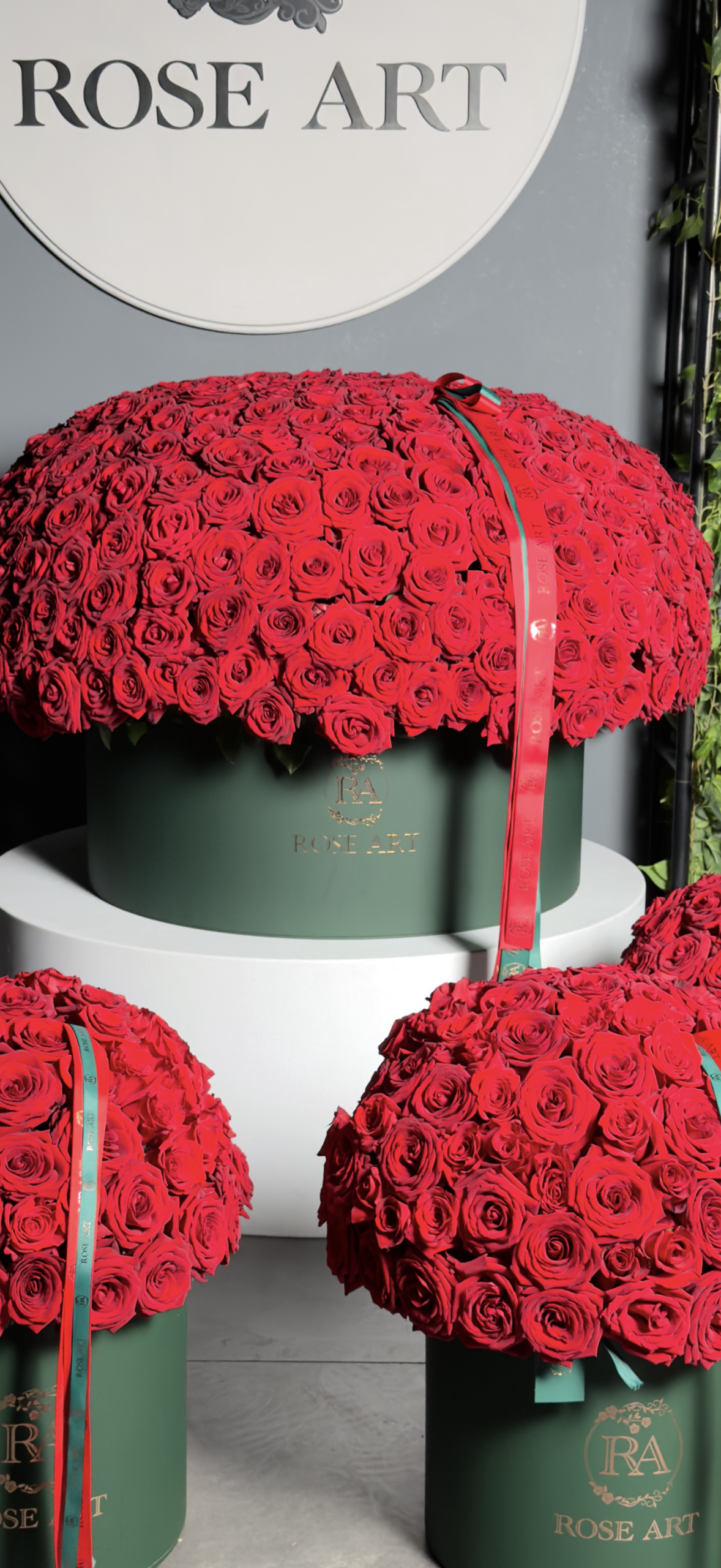 A 1000 Roses Royal Grandeur - Image 3